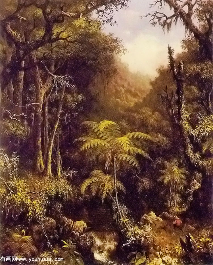 brazilian forest