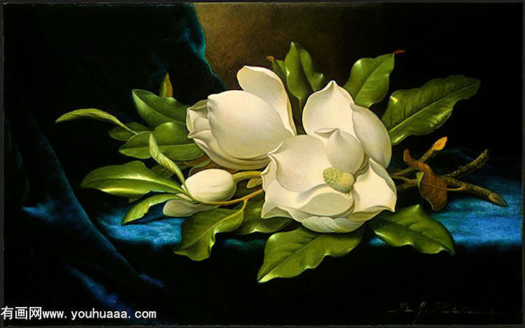 giant magnolias on a blue velvet cloth