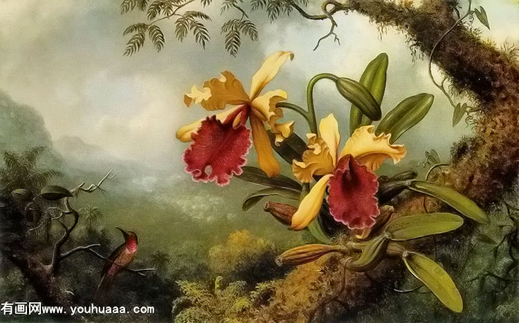 orchids and hummingbird