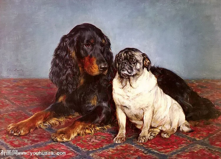 Ȯ͹ - a spaniel and a pug