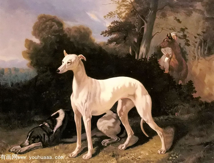 a greyhound in an extensive landscape