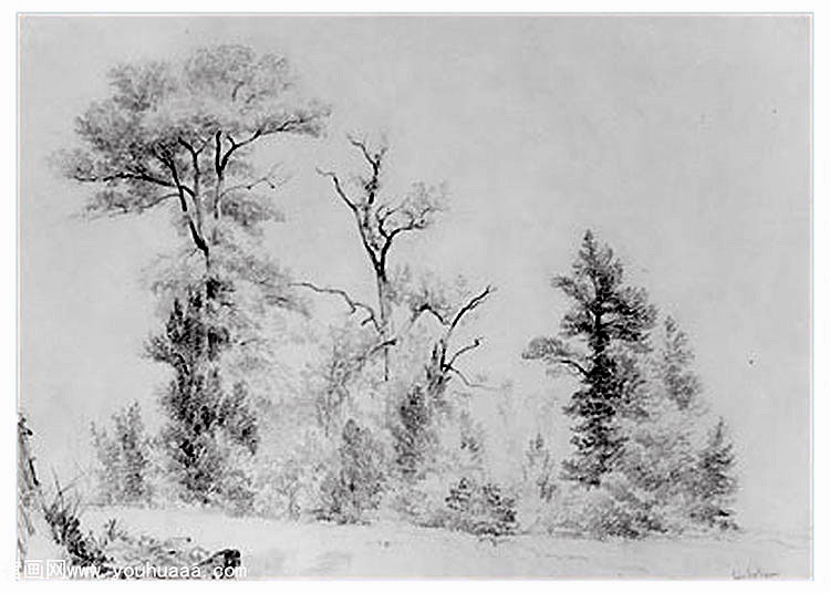 three trees hoboken