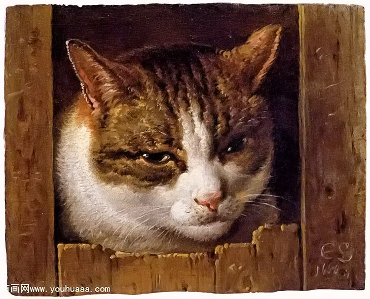 a cat peeping through a fence