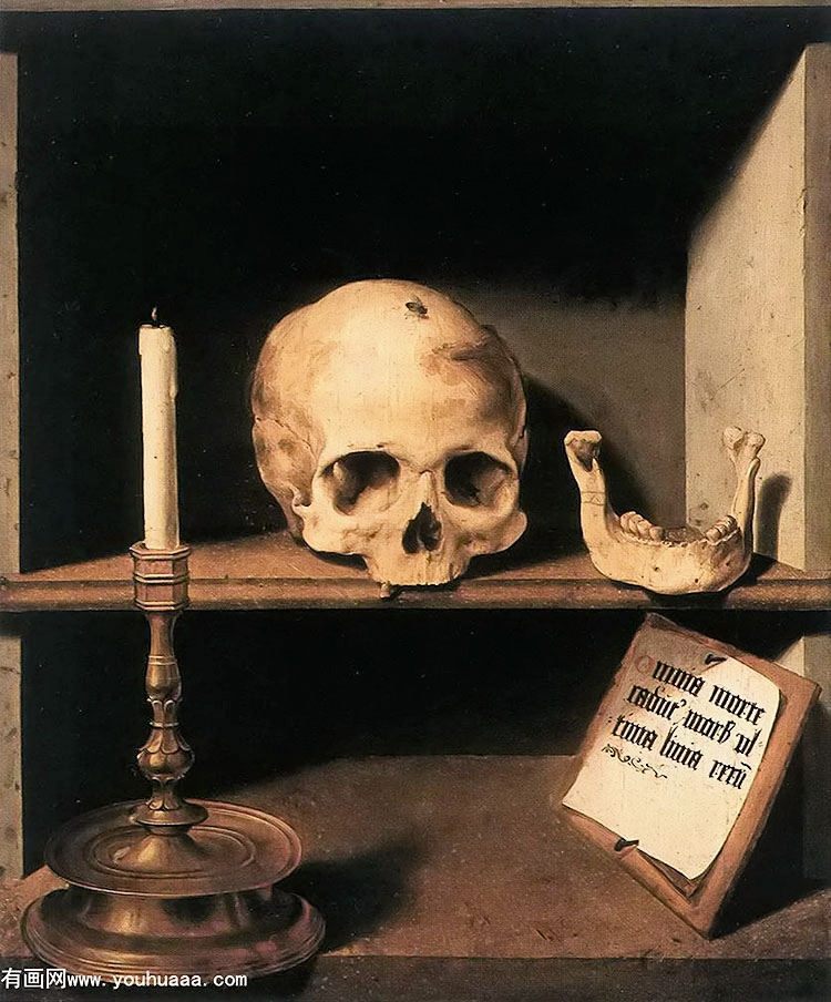 ɾ - vanitas still life