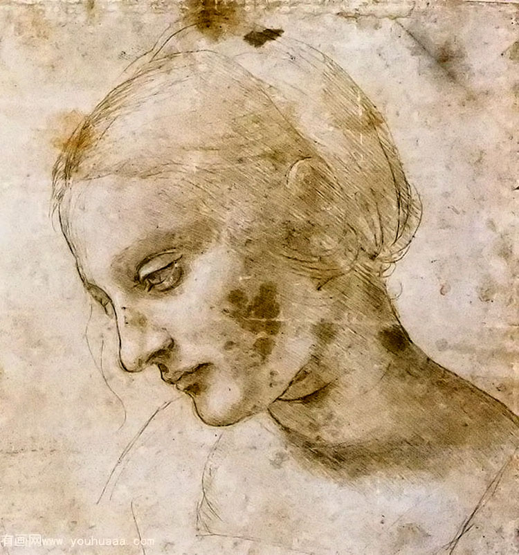 ŮФϰ - study of a womans head