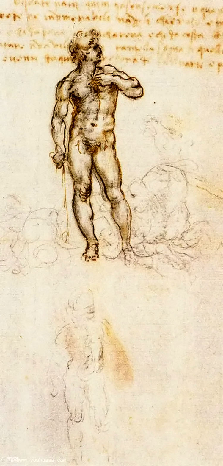 ׿ʻ޵Ĵϰ - study of david by michelangelo