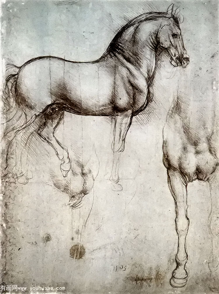 ϰ - study of horses