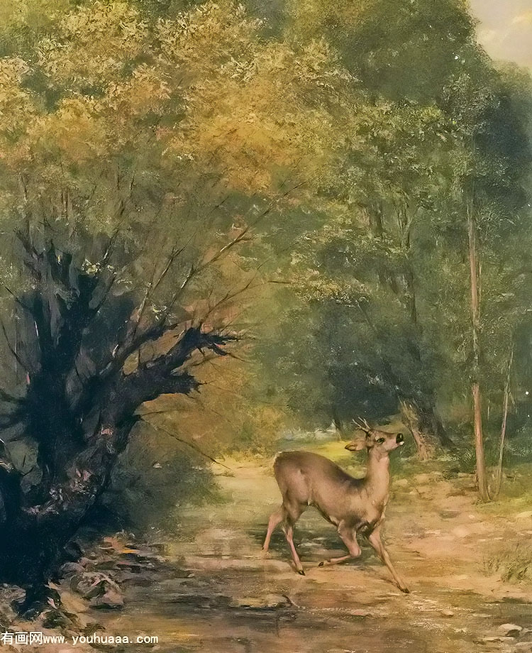 the hunted deer on the alert spring