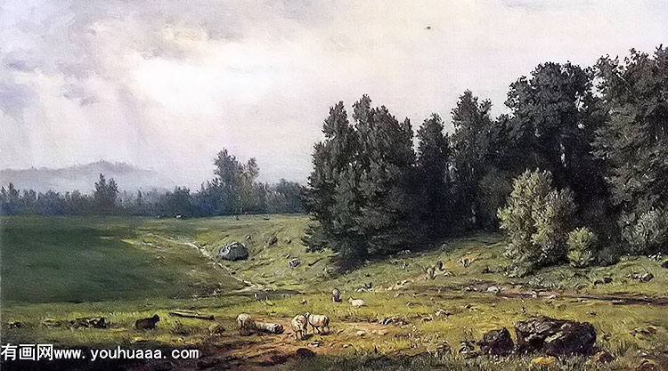 landscape with sheep