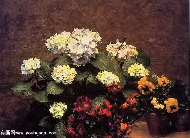 hydrangias, cloves and two pots of pansies