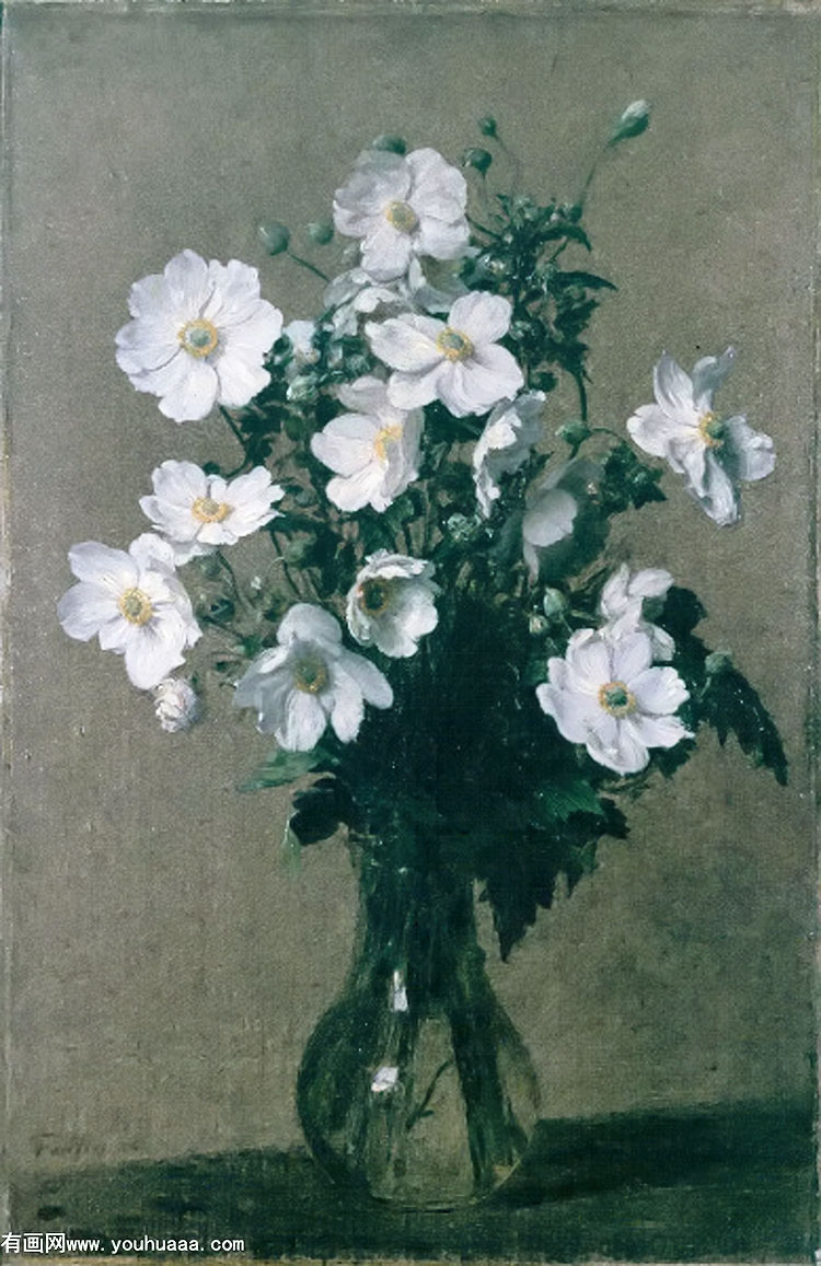 japanese anemones