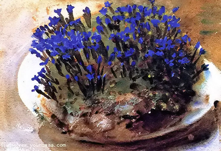 blue gentians