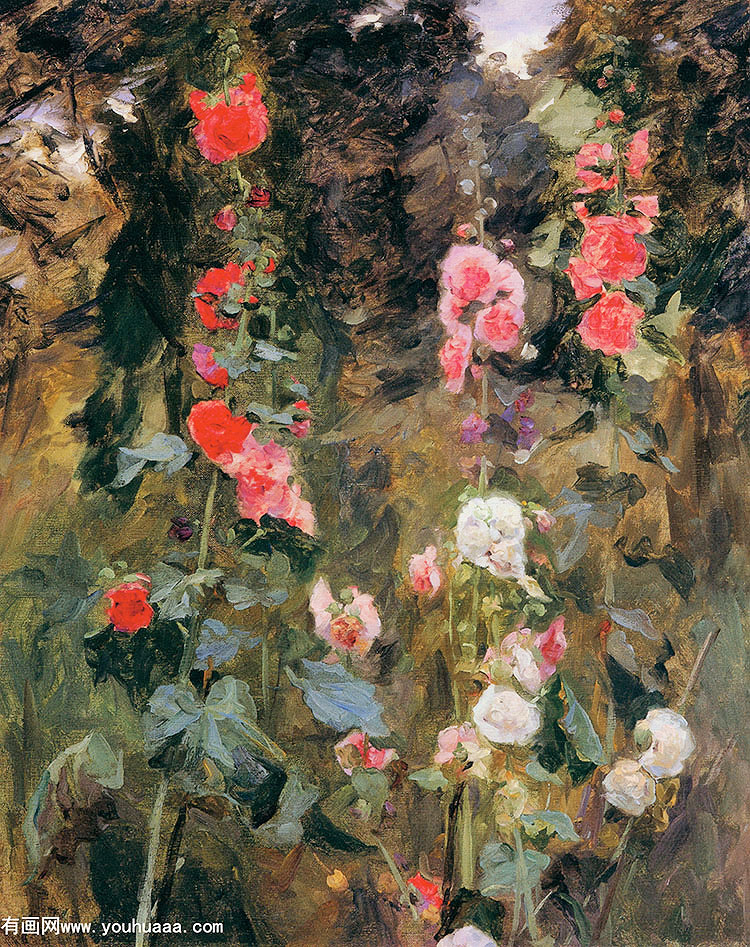 hollyhocks