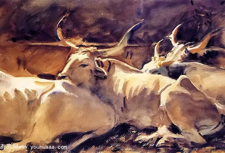 oxen in repose