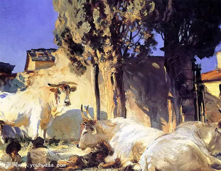 oxen resting