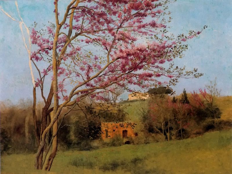 landscape blossoming red almond [study]