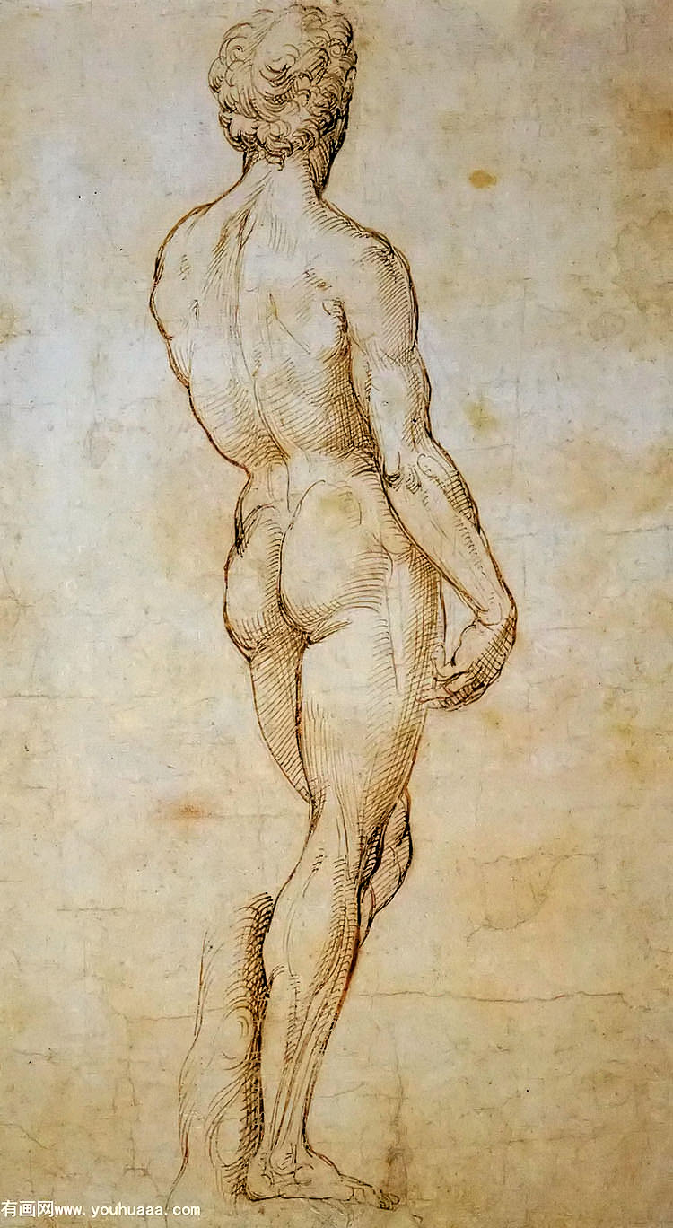 ׿ʻ޵Ĵ - a back view of michelangelos david