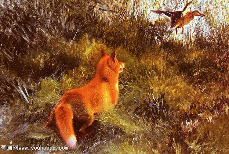 eluding the fox