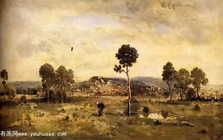 landscape with a pine tree