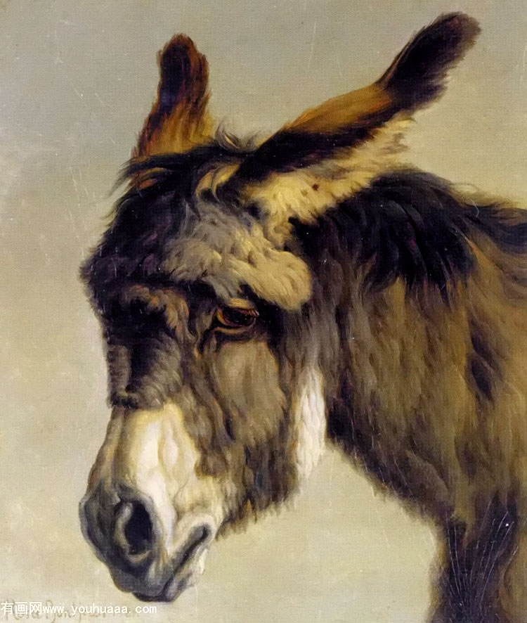 head of a donkey