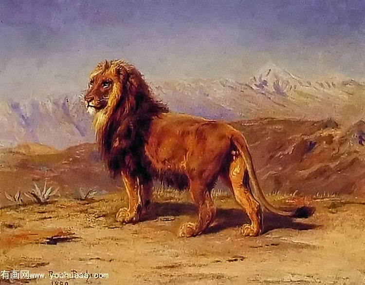 lion in a landscape