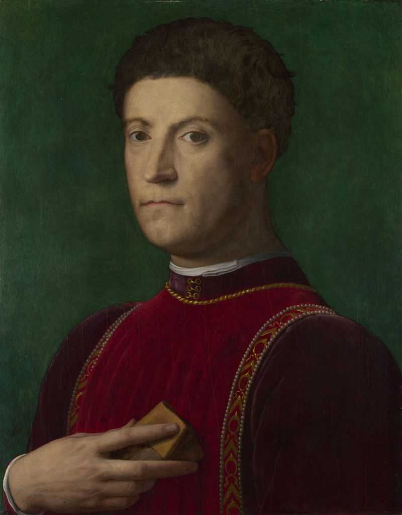 ƤҮޡ¡Ф - Portrait of Piero de' Medici