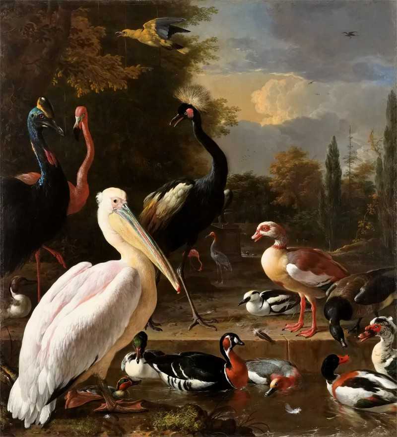 A Pelican and other Birds near a Pool, known as 'The Floating Feather'