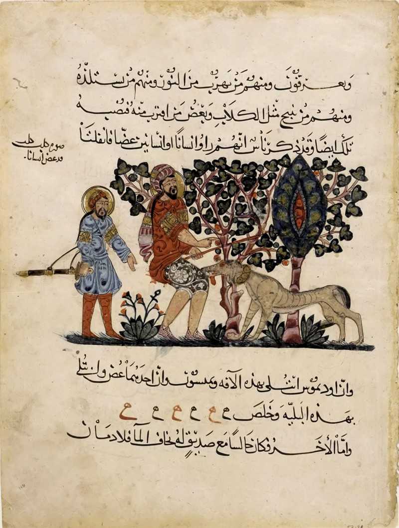 Folio from an Arabic translation of the Materia Medica by Dioscorides