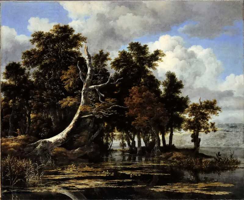 Oaks at a lake with Water Lilies