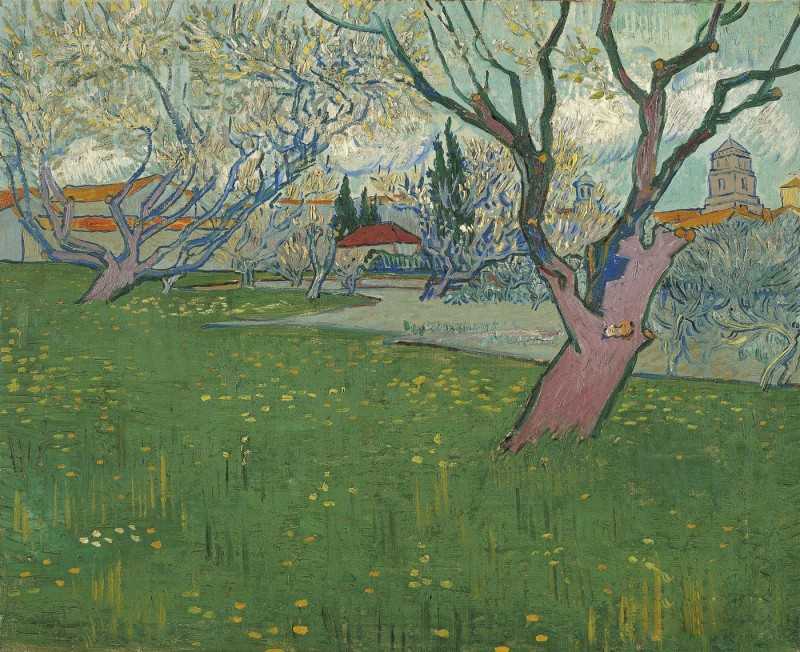 ڰʢĹ԰ - orchard in bloom with view of arles