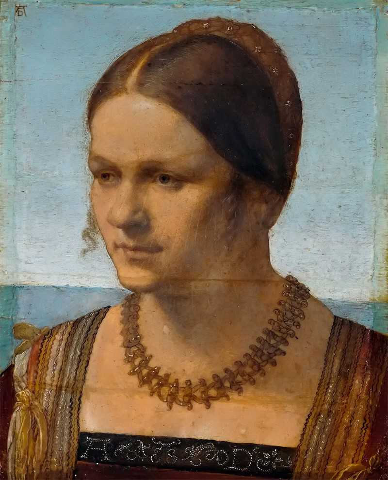 ˹Ů - Portrait of a Young Venetian Lady