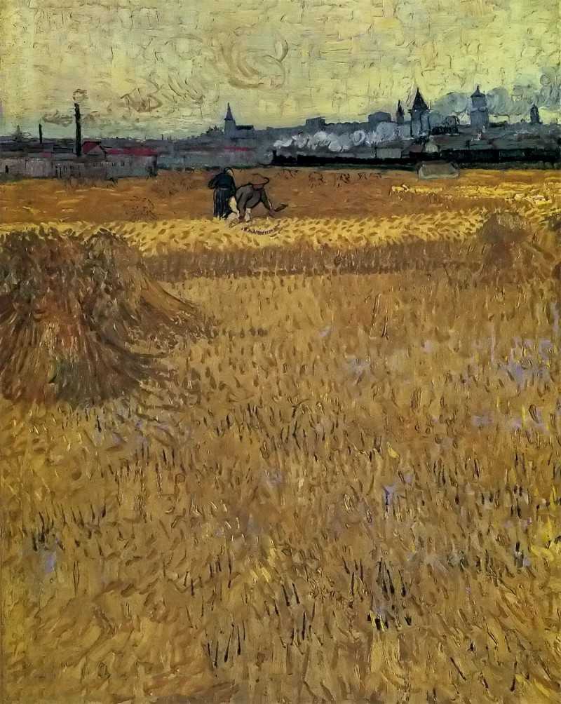 ³Ͱճ - wheat field with sheaves and arles in the background