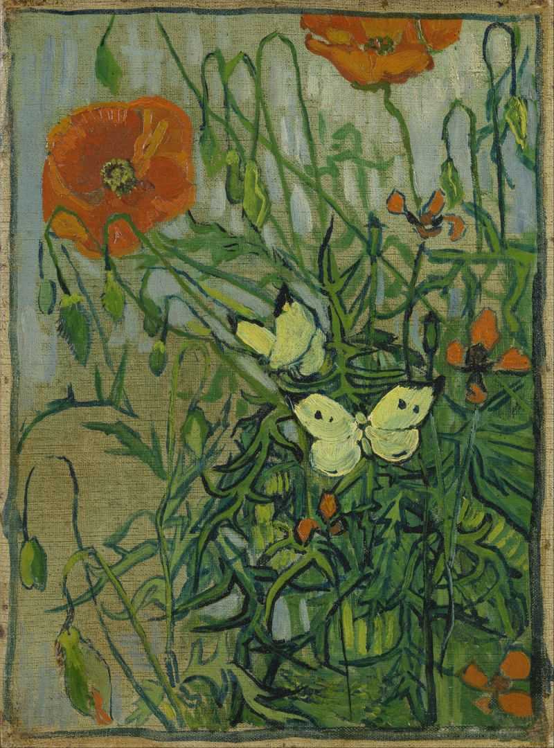  - poppies with butterflies