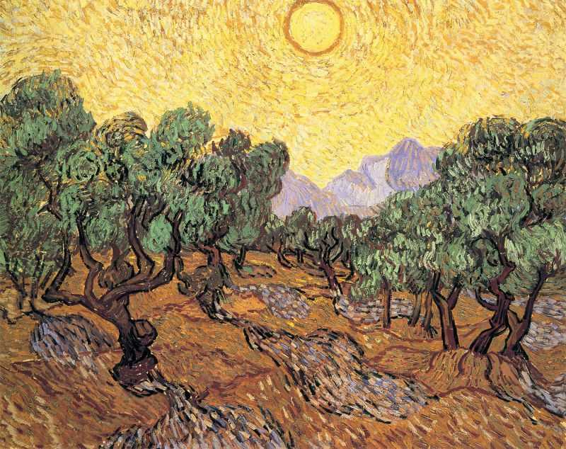 Ⱥɽµ԰ - olive orchard with mountains and the disk of the sun