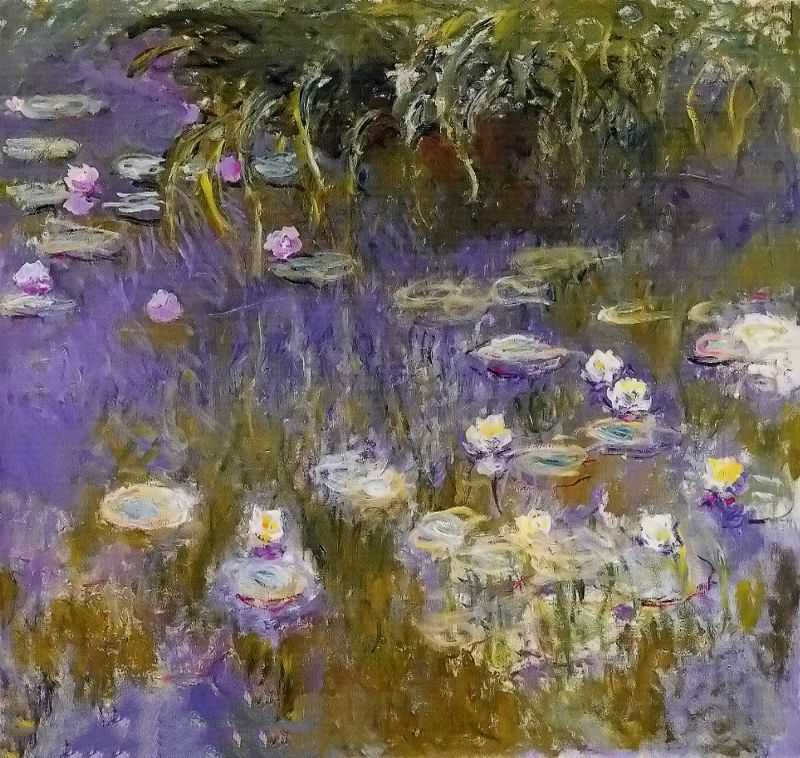 ˯ - Water-Lilies