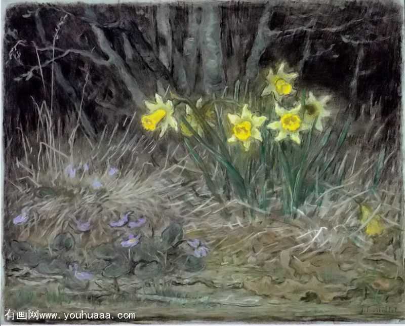 Daffodils and violets