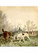 Chiens de chasse