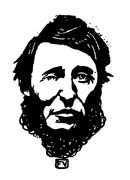 Portrait of Henry David Thoreau