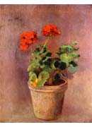 The Pot of Geraniums