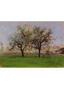 ͼȵƻ - Apple Trees at Pontoise