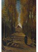  - Avenue of poplars in autumn