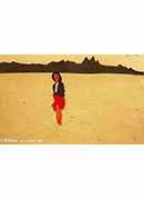 ˹_7 - alex katz_7