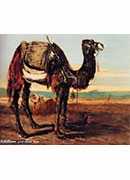 a bedouin and a camel resting in a desert landscape