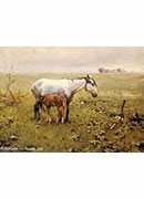 a mare and her foal in a landscape