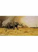 elephants moving before a veldt fire