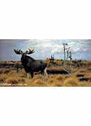 elks in a marsh landscape