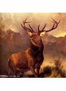 monarch of the glen