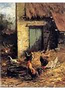 poultry in a farmyard