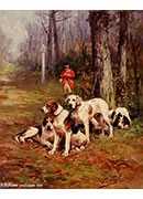 hunting dogs at rest