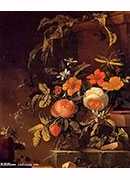 flowers in a landscape with a lizard